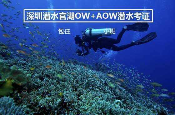 超级马里奥奥德赛